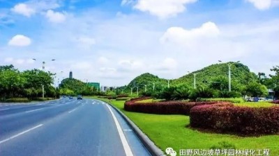 道路綠化中，城市干道植物應(yīng)怎樣配置？