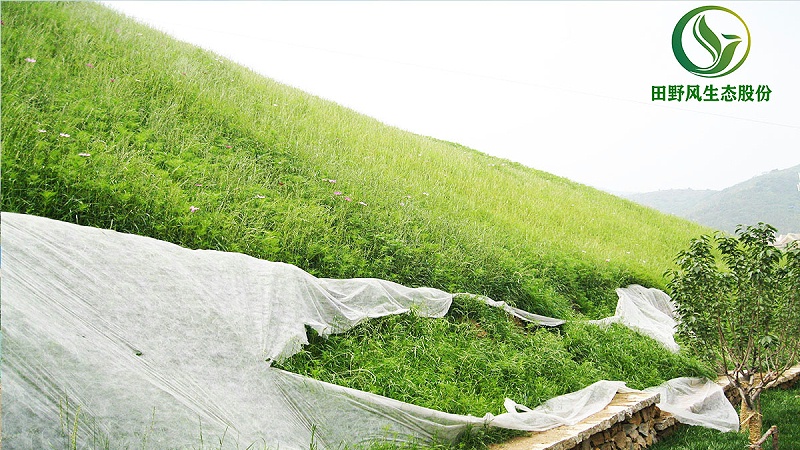 邊坡綠化、生態(tài)防護(hù)