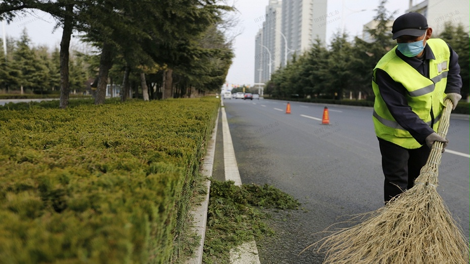 市政道路綠化養(yǎng)護(hù)