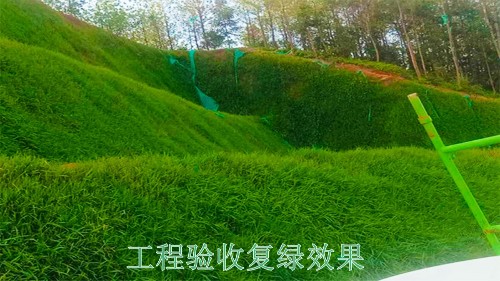 廣西梧州山體滑坡地災邊坡綠化