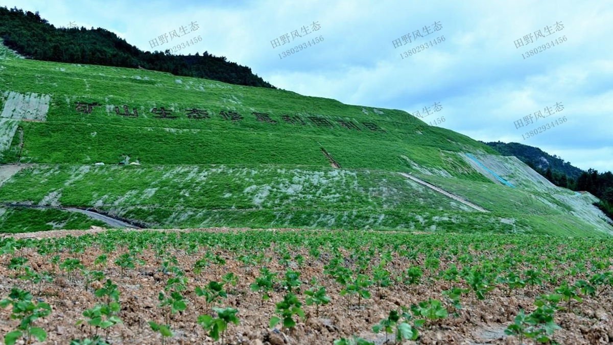 礦山生態(tài)修復(fù)