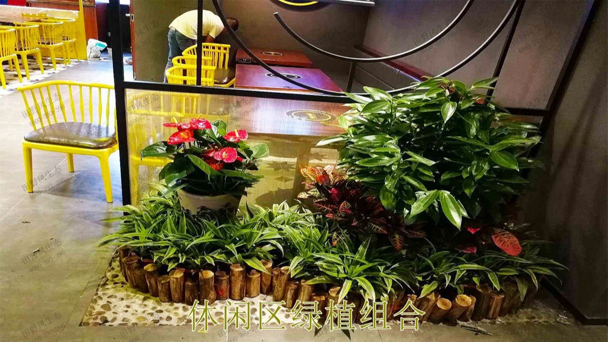 無(wú)限極綠植花卉景觀租賃案例展示