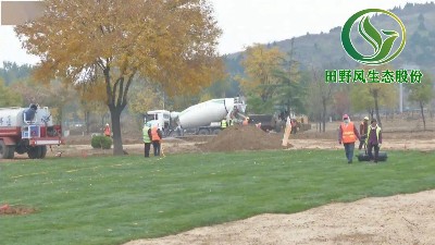 濱州鄒平升級(jí)景觀綠化建設(shè)，打造綠色生態(tài)景觀