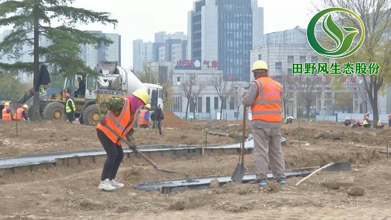 園林綠化，景觀(guān)綠化