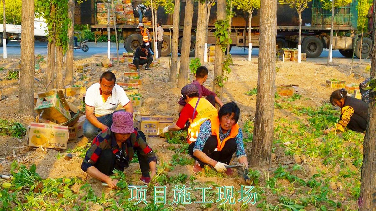 嶺南大地休閑生態(tài)綜合體項(xiàng)目