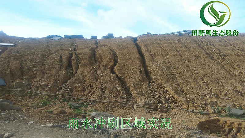 3雨水沖刷區(qū)域實況