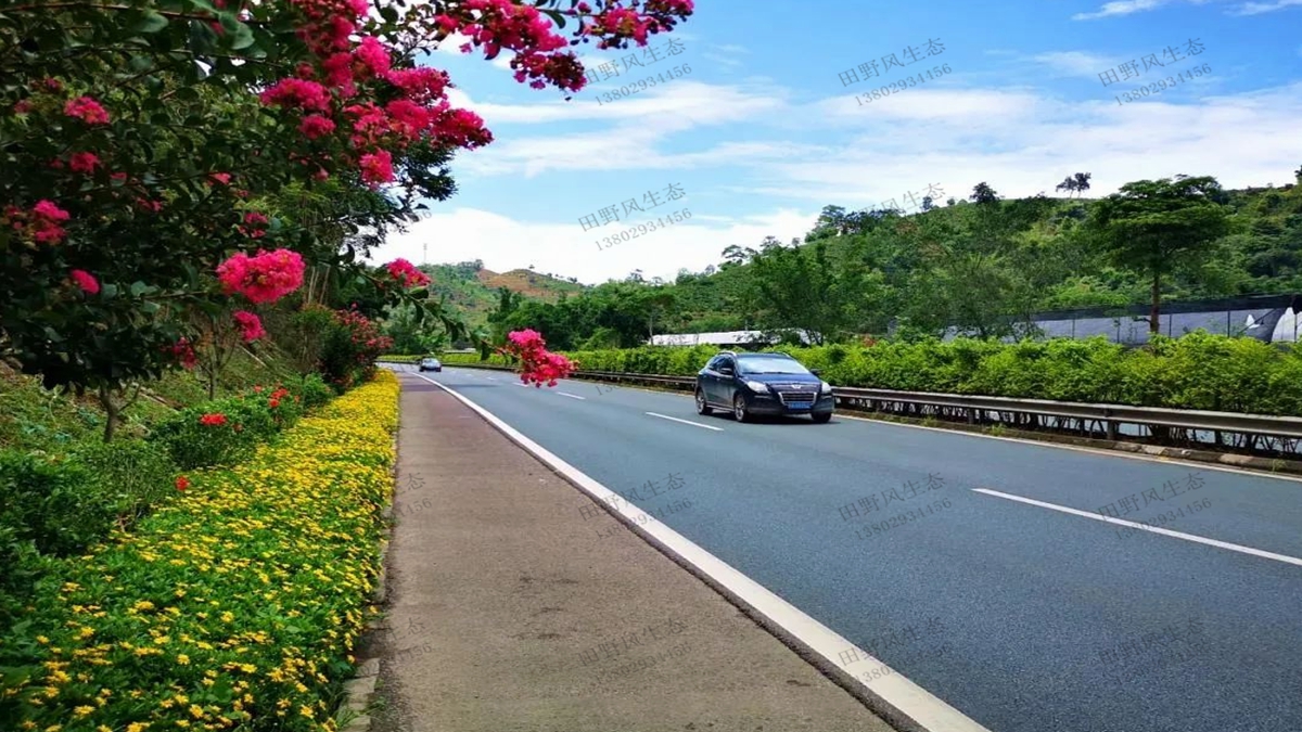 道路綠化植物應(yīng)該如何配置？