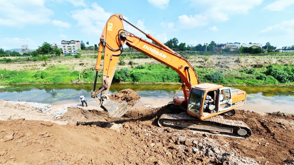 紫金縣秋香江河道河堤邊坡綠化工程