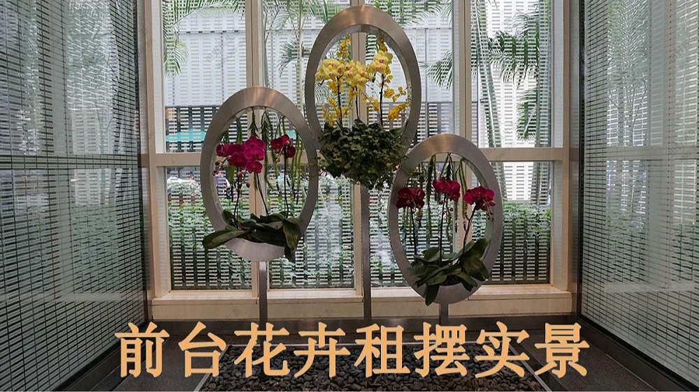 廣州保利國(guó)際廣場(chǎng)植物出租案例