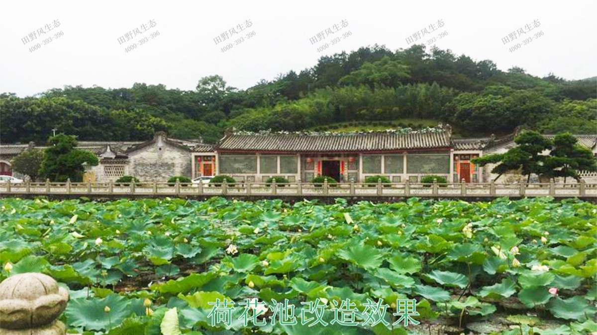 潮州市美麗鄉(xiāng)村工程項(xiàng)目