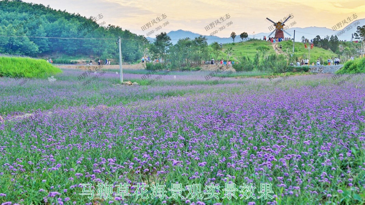 江西贛州美麗鄉(xiāng)村景觀工程