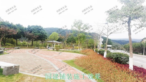 廣東河源濱江大道園林景觀(guān)工程