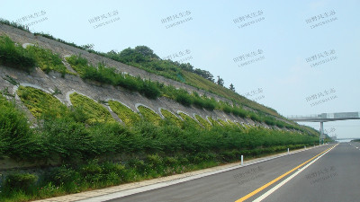 邊坡綠化對植物的選擇原則，有哪些植物推薦？