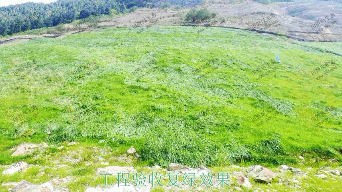 珠三角環(huán)線輕鐵路邊坡復(fù)綠工程