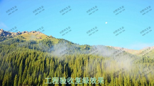 福建龍巖鐵礦山邊坡復綠