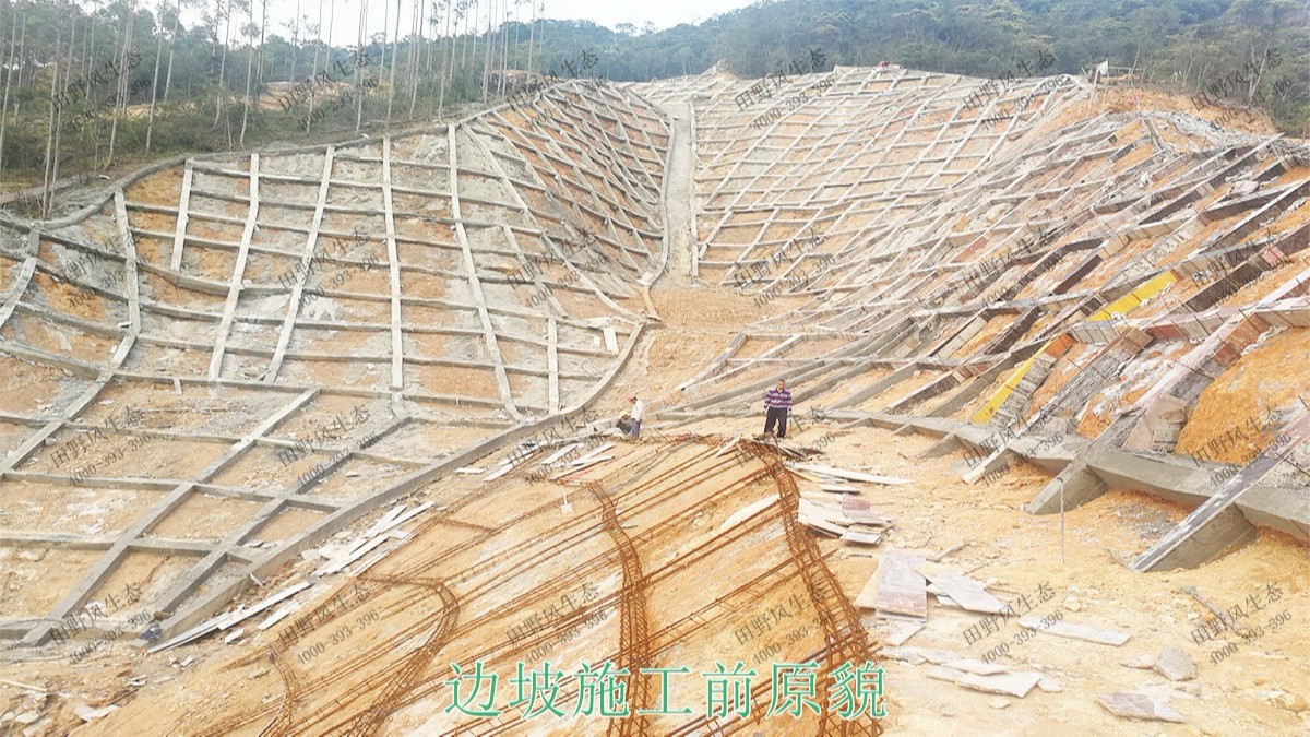 海豐蓮花山山體滑坡地質(zhì)災害邊坡噴草