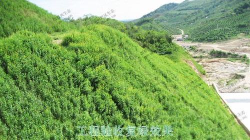 廣州白水山森林公園生態(tài)修復