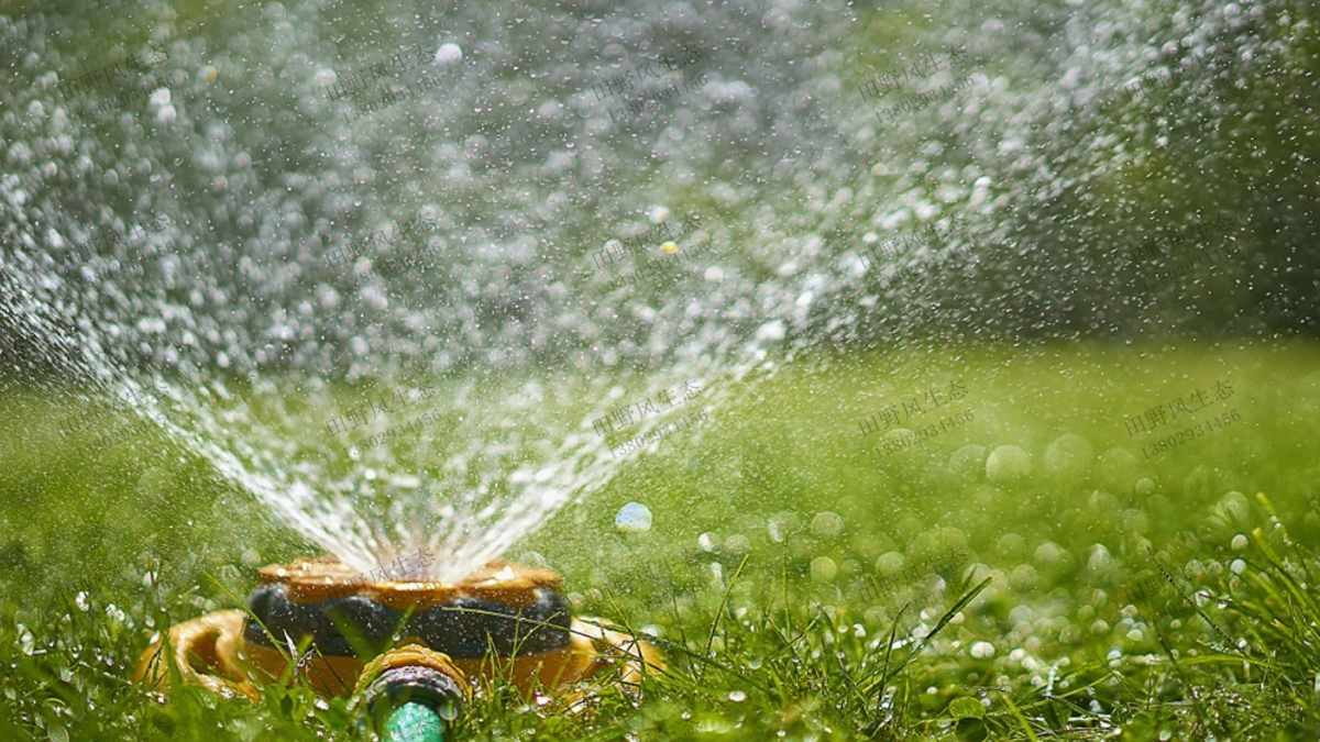 草坪澆水