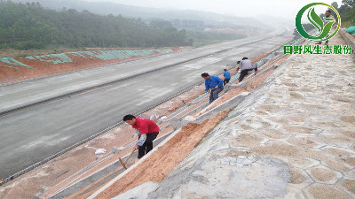 高速公路綠化，有哪些方法與竅門呢？