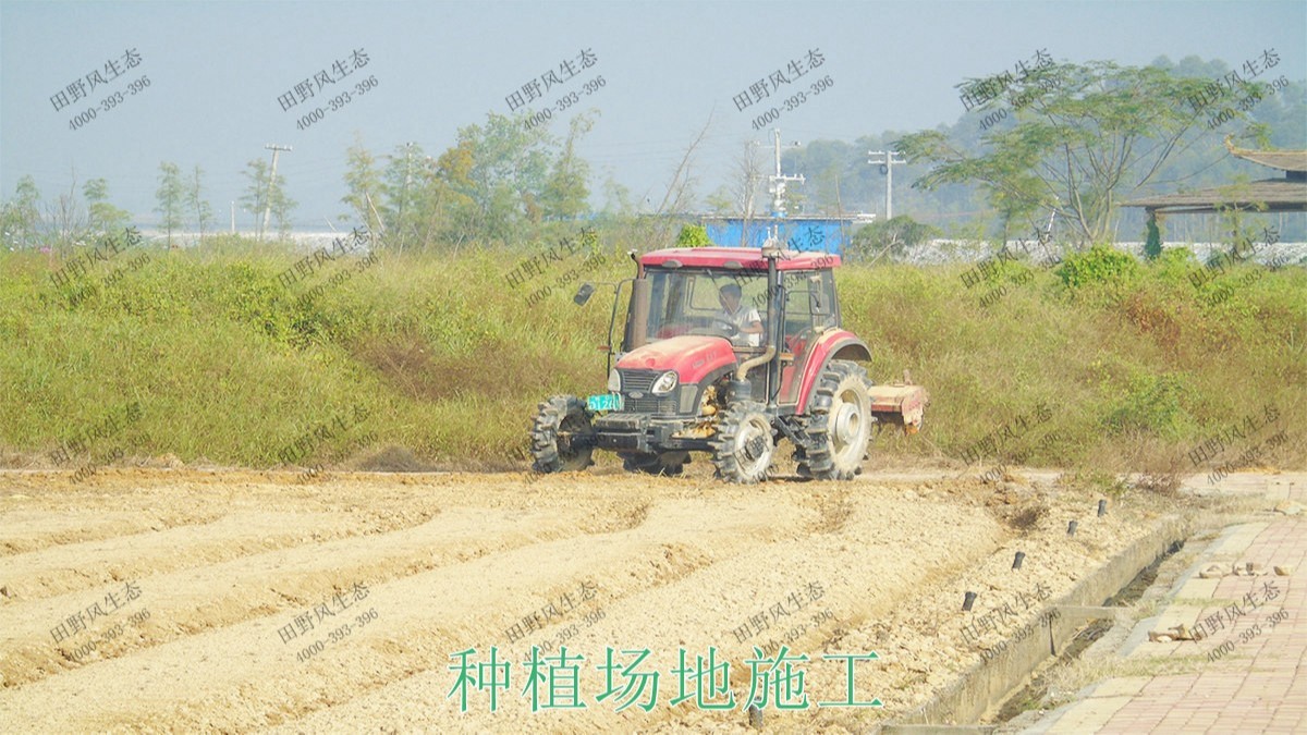 廣西北流銅石嶺4A景區(qū)花海設(shè)計(jì)